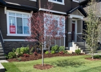Canadian Landscape Services Inc photo 8