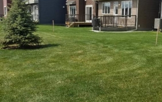 residential sod installation and maintenance in calgary
